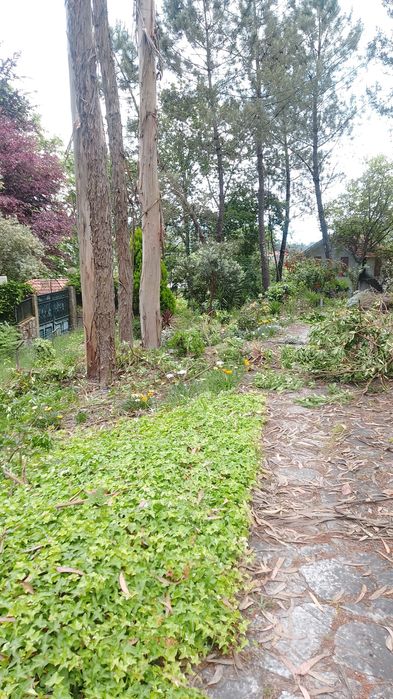 Limpezas de jardim e Pinhais