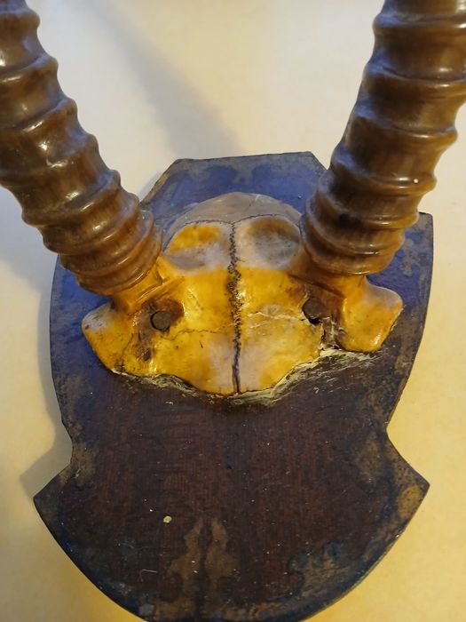 Декор из прошлого. Рога сайгака