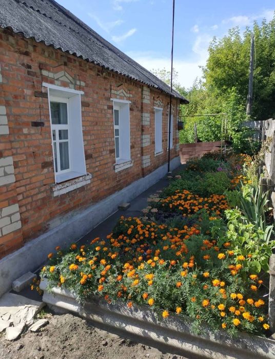Срочно продам дом в Солоницевском Отг (п.Ольшаны)
