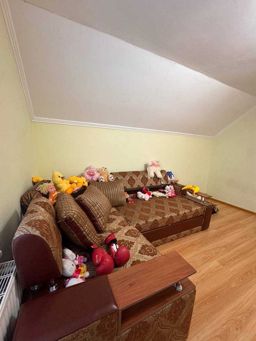 Домоволодіння з магазином у с. Брусниця