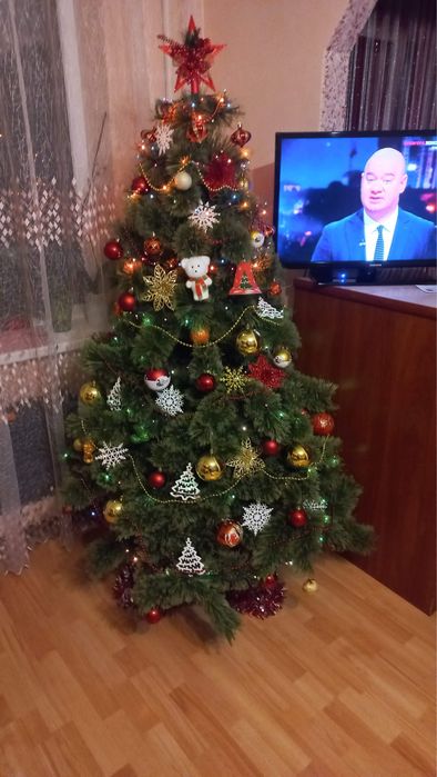 Продам ялинку кедр