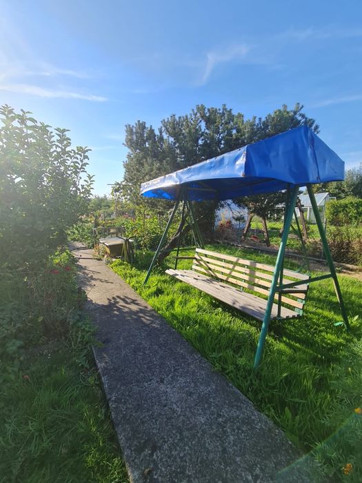 Zdjęcie 7