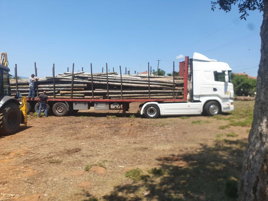 Postes de madeira tratados do telefone