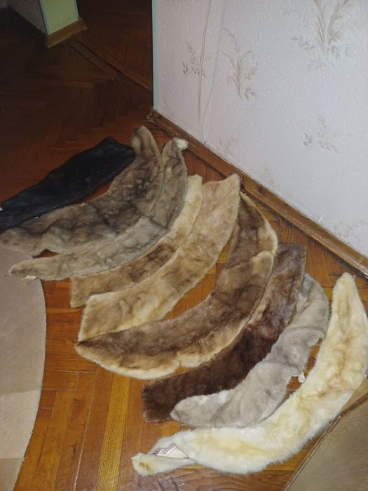 Продам шкурки норок.