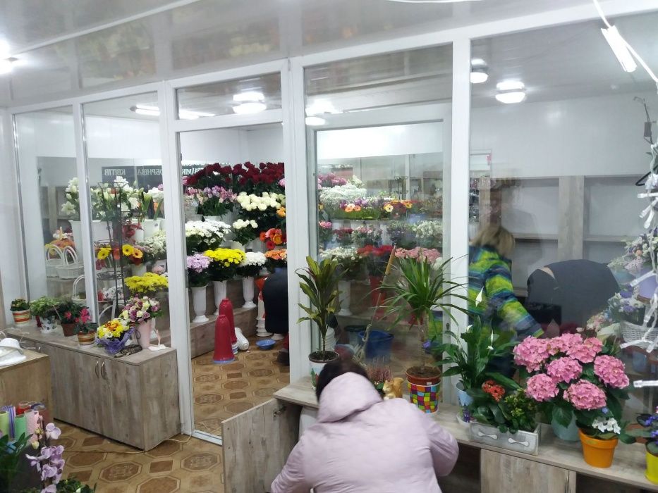 Пластикові перегородки за низькою ціною.