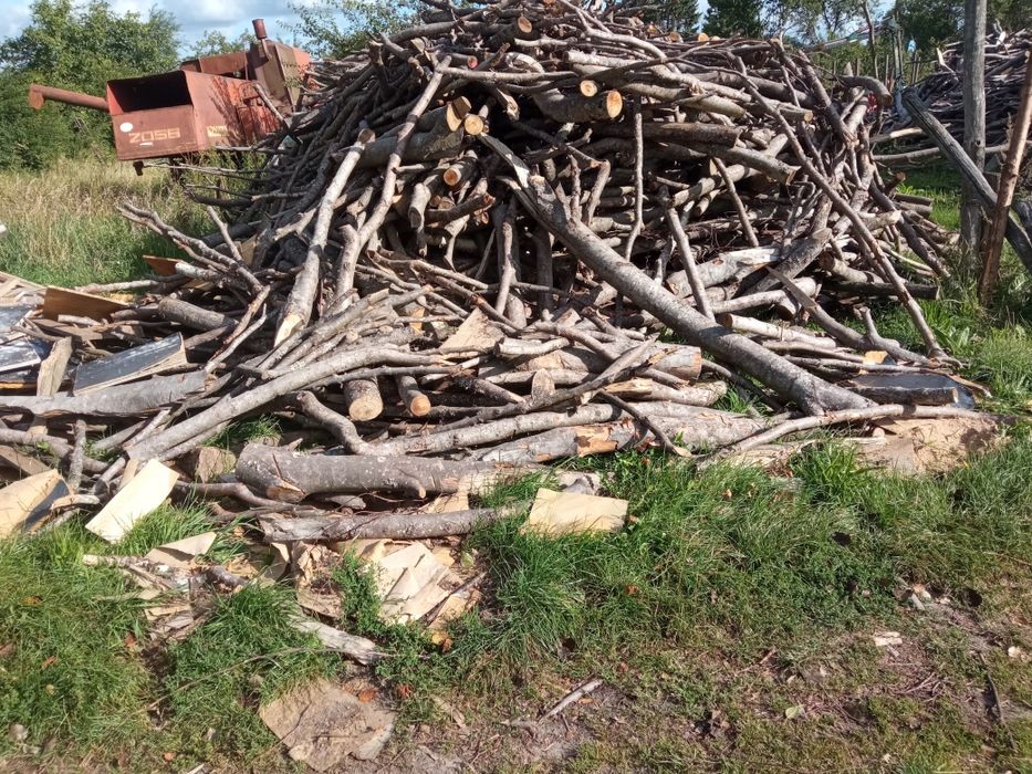 Drewno bukowe gałęziówka