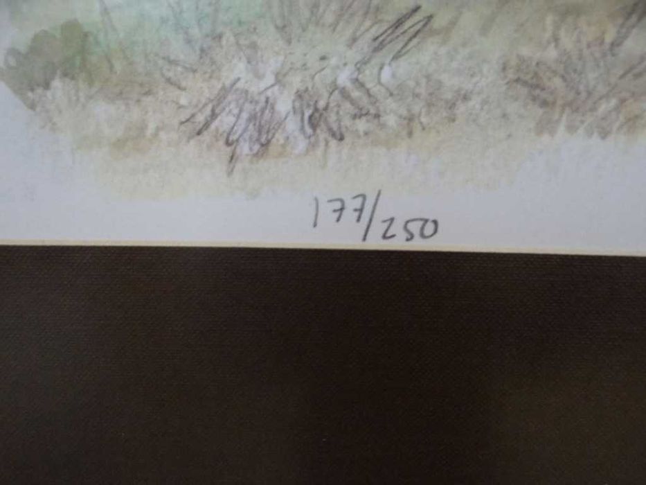 Obraz ,,Bażanty '' litografia barwna 1977 r