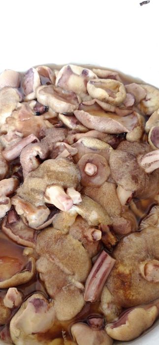 Продаются  грибы