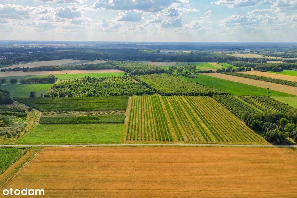 Przepiękna działka budowlana 5955 m² z WZ - OKAZJA! - Widok 4
