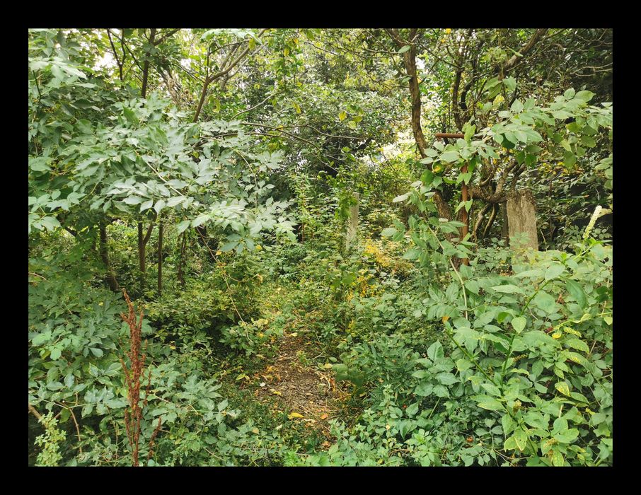 Limpeza de terrenos e Remodelações