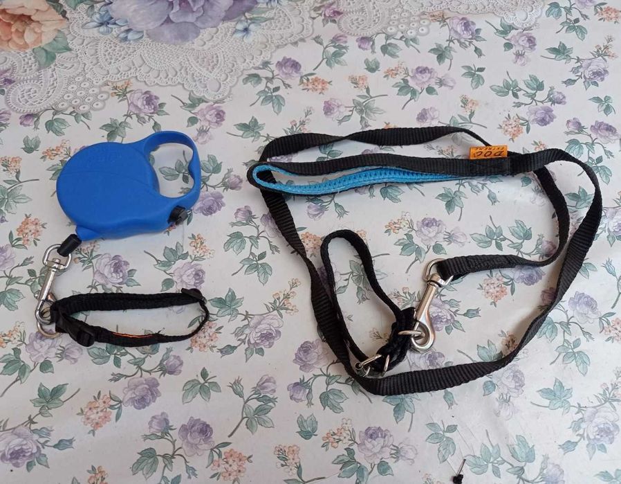Комплект поводок та ошийник для маленької собачки чи котика