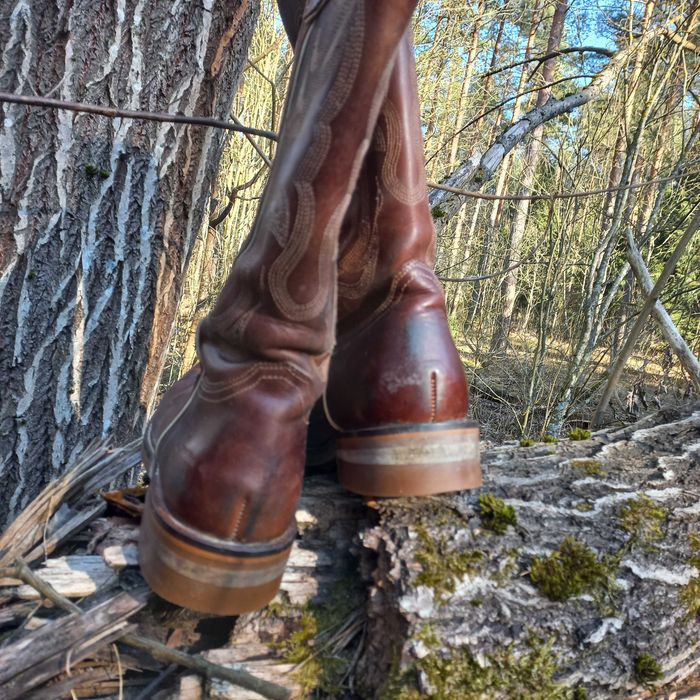 kowbojki L-pro west kentucky r 41