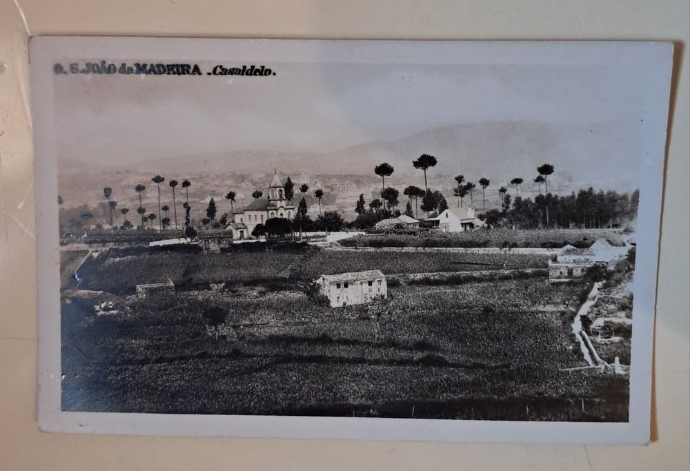 Postais Diversos preto e branco, Bussaco S. João da Madeira.