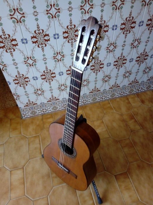 Viola Portuguesa São Sebastião • OLX Portugal