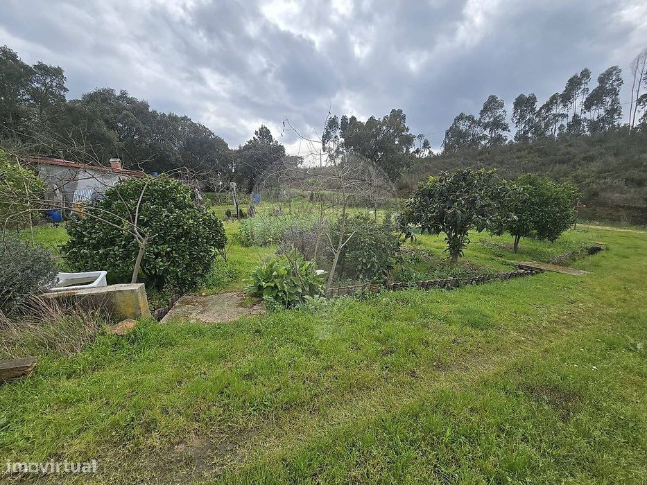 Terreno  para venda — São Pedro de Tomar, Santarém