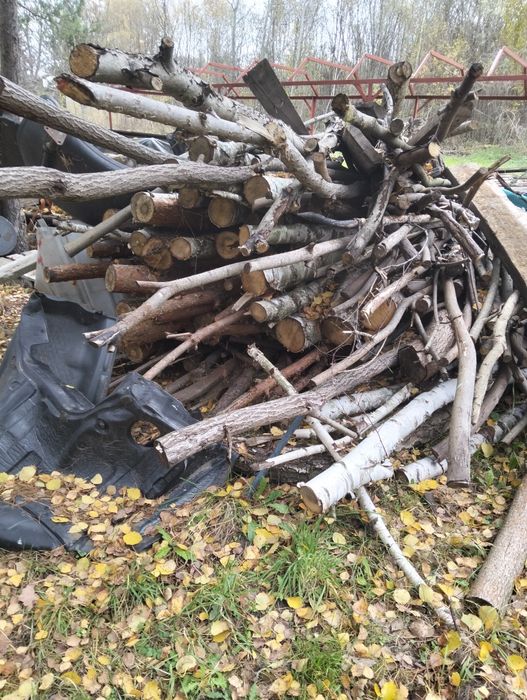 Drzewo na opał  mieszanka
