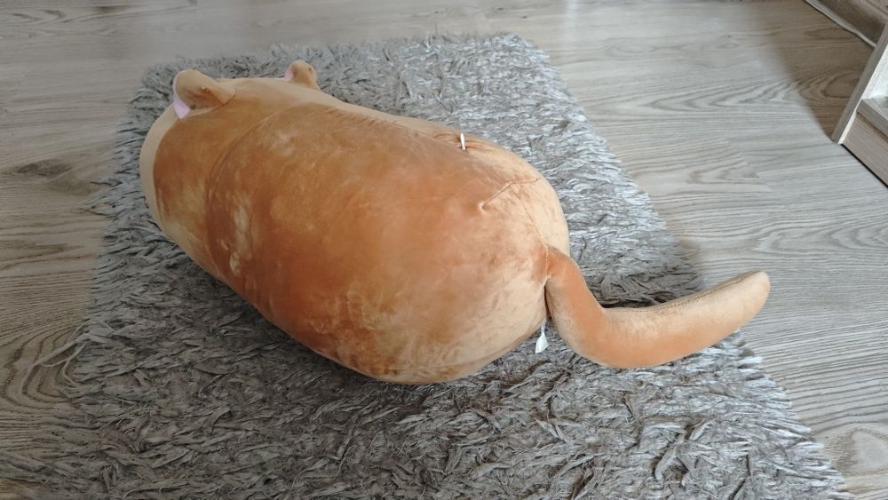 Kot poduszka pluszak maskotka