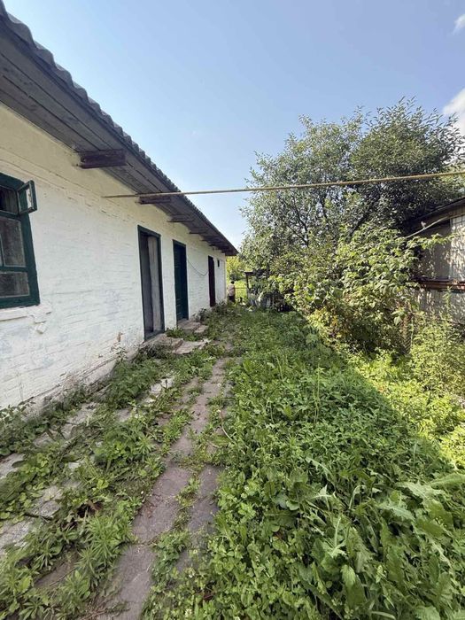 Продаж будинку!с Шамраївка!Київська обл