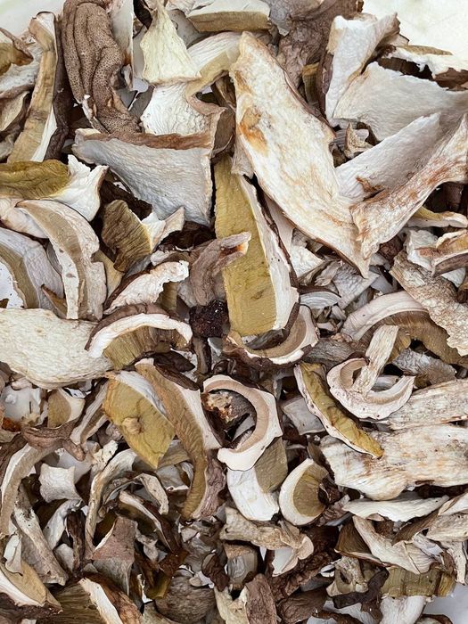 Гриби білі Закарпаття