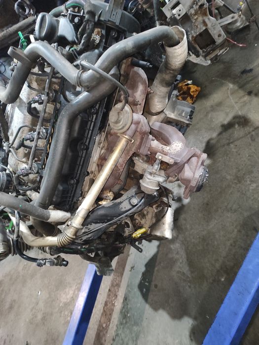 Двигун 2.0 hdi RHX 16клапанний Пежо експерт