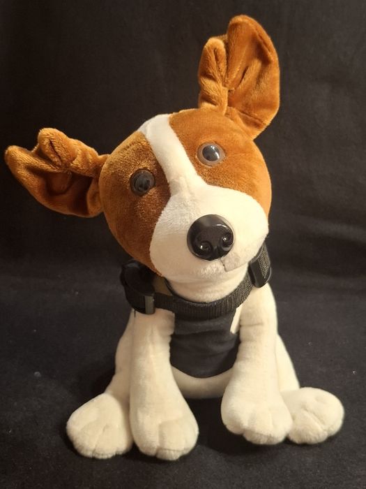 Іграшки, які шукають другий дім.