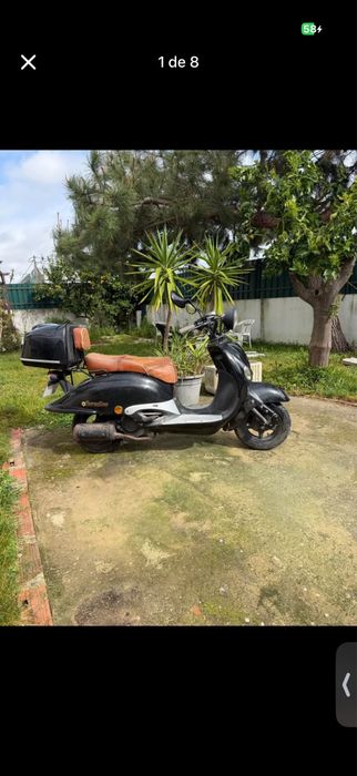 mota neco Borsalino 50cc 2018