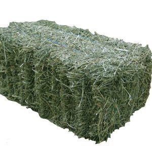 Тюки сіна,  (великі)