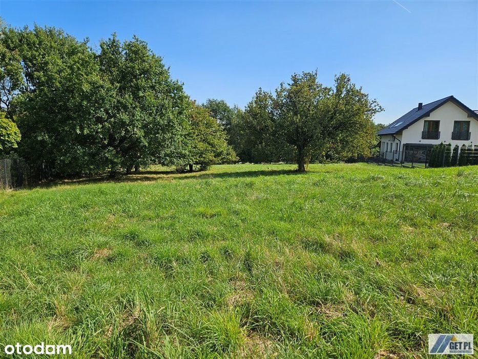 Działka, Tomaszkowice