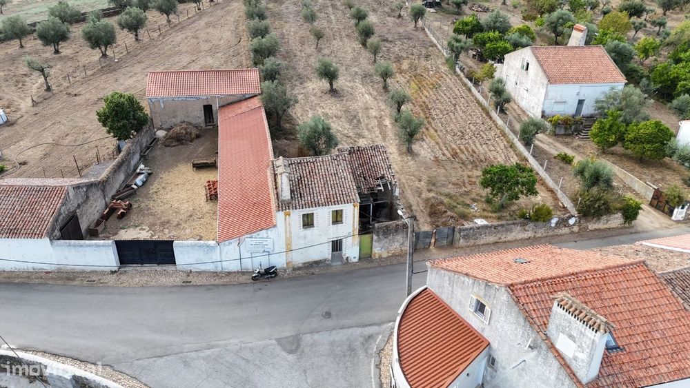 Terreno para construção com Moradia V2 em Nisa