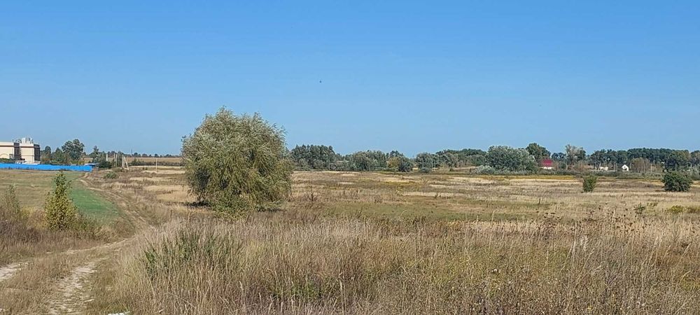 Демидів, 12 соток для садівництва. Гарне місце