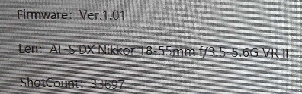 зеркалка Nikon D3100