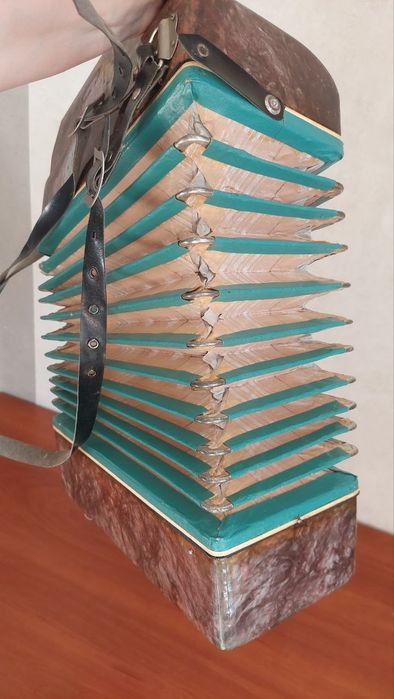 Гармошка "малиш"