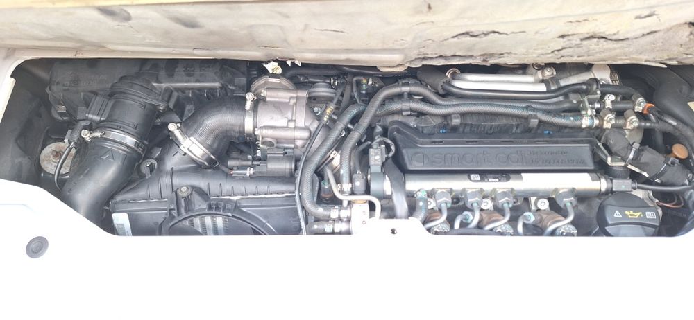 Smart Fortwo Coupé 0.8 cdi Pulse 54cv Softouch