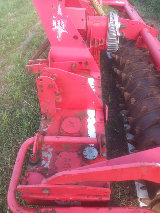 Byk, krowy, cielaki ZAMIANA