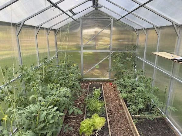 Szklarnia z poliwęglanu DOMEK 2,5x4-12m profile 25x25 POLIWĘGLAN 4-6mm