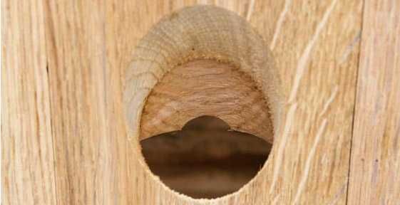 Pupitres/Suportes/Racks de Carvalho para Garrafas