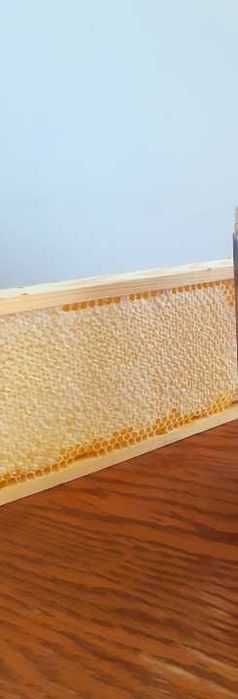 Plaster miodu w ramce prosto z ula  1,1 kg honey