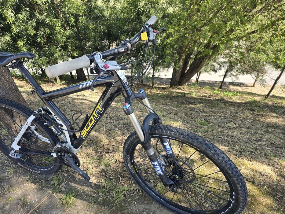 Scott genius L carbono