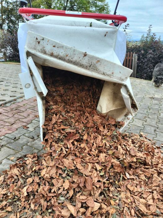Czyszczenie kostki brukowej