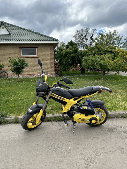 M.SUZUKI スズキ　MAGIC GARDEN マジックガーデン M.SUZUKI スズキMAGIC GARDEN マジックガーデン