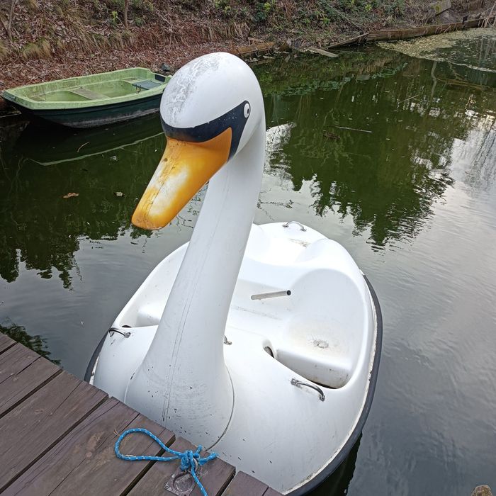 Rower wodny łabędź + łódka gratis
