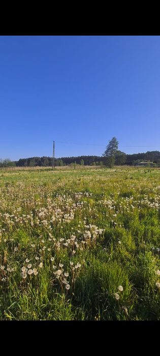 Działka budowlana Solec Kujawski - View 6