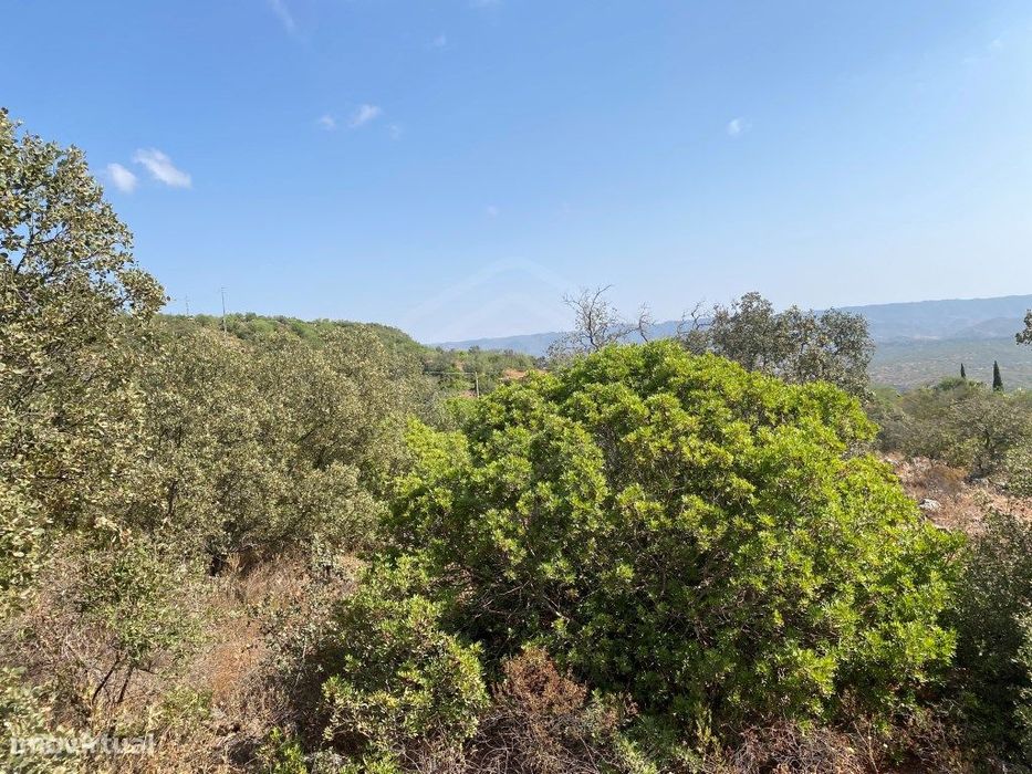 Lote de Terreno Rústico no Serro dos Passarinhos, Loulé, Algarve