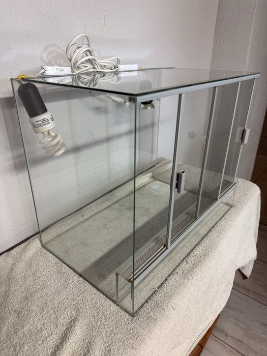 Terrarium dla  małej agamy