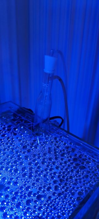 Aquário marinho/doce completo