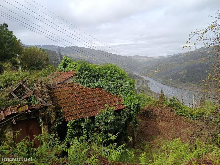 Quinta / Cinfães, Rio Douro