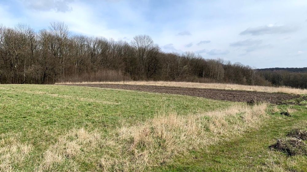 Земельна ділянка біля спортивної бази 10