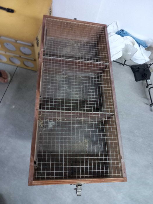 Transportadora de canarios / exóticos