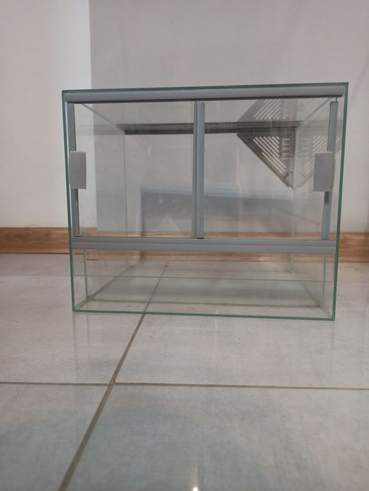 Terrarium po patyczakach