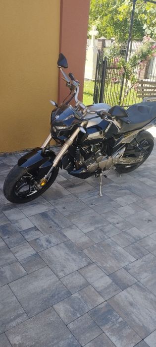 GEON stinger 250